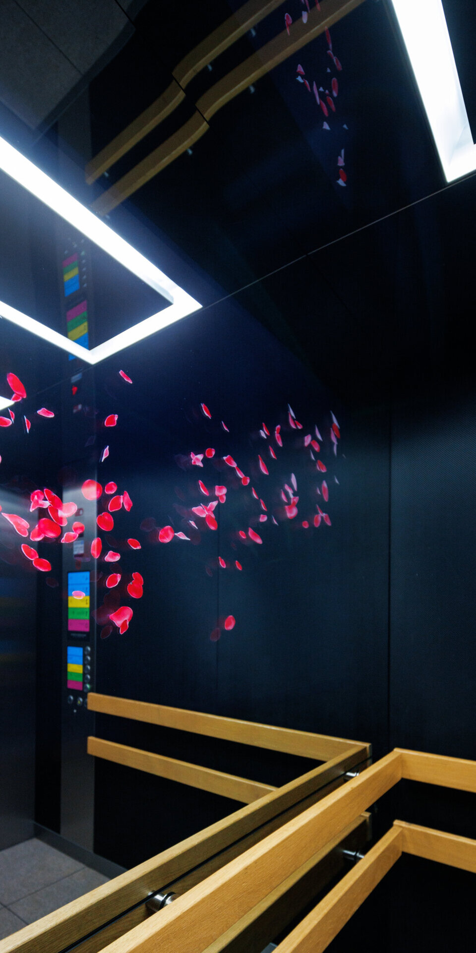 In einem modernen Aufzug mit schwarzen Wänden, hölzernen Handläufen und hellen geometrischen Deckenleuchten, die sich auf den Oberflächen spiegeln, scheinen verstreute rote Rosenblüten zu schweben.