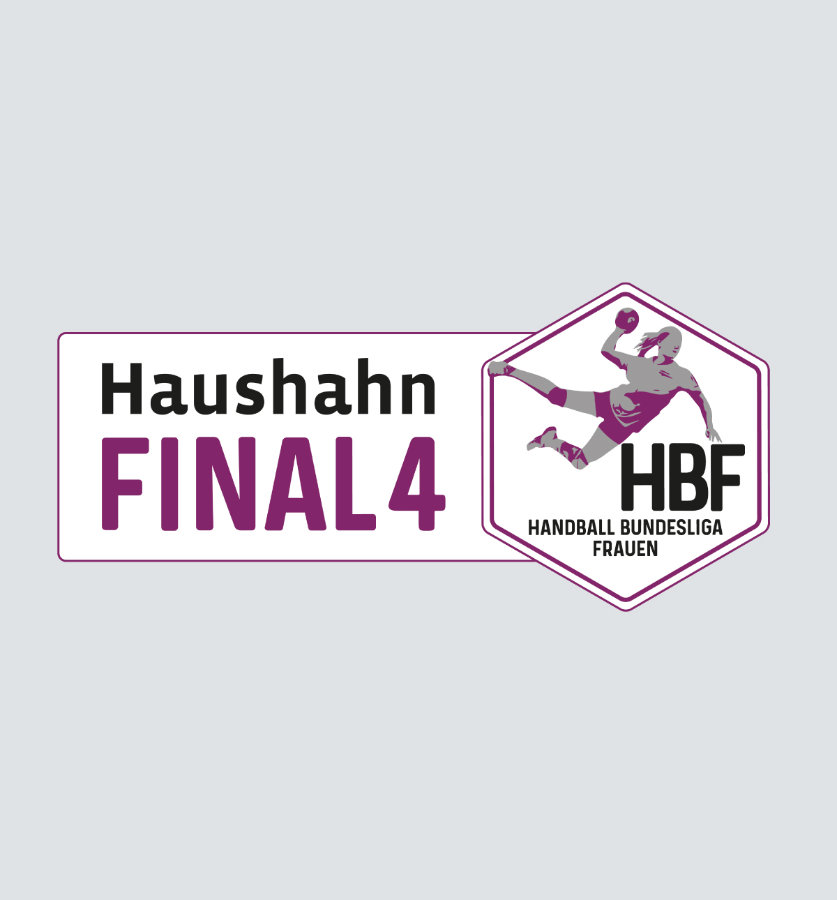 Haushahn Partnerschaften - Final4